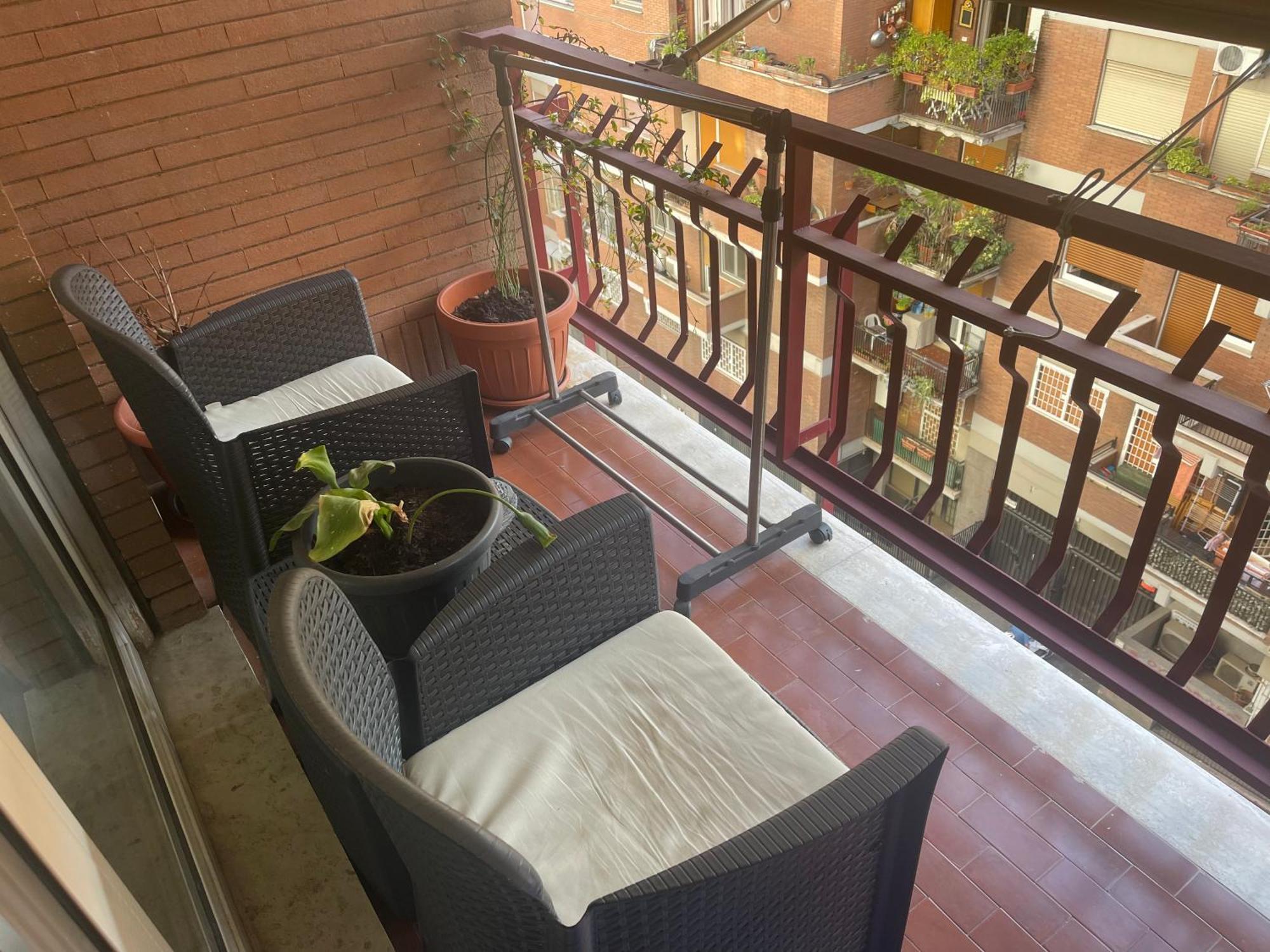 Exotic Room - Rome, Rome